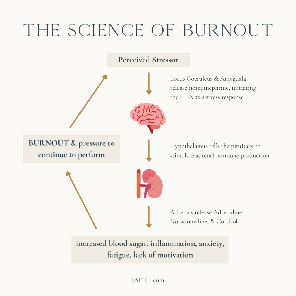 this graphic describes the physiological stress response of the body that leads to burnout